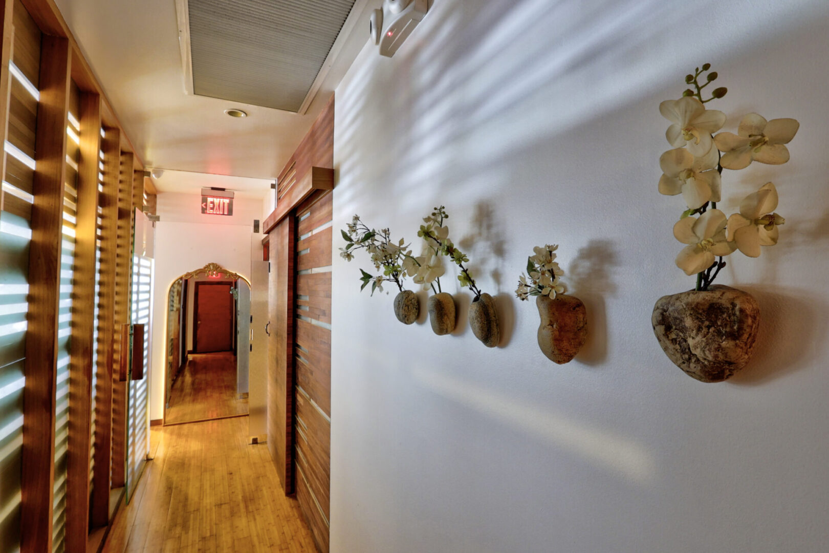 4V0A9870_1_2 A hallway with many plants on the wall